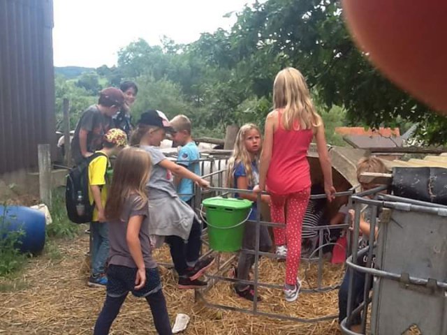 FB_IMG_1444376517086